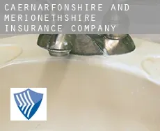 Caernarfonshire and Merionethshire  insurance company