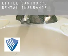 Little Cawthorpe  dental insurance