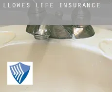 Llowes  life insurance