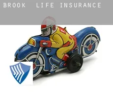 Brook  life insurance