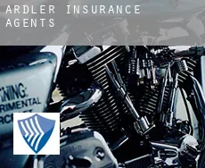 Ardler  insurance agents