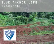 Blue Anchor  life insurance