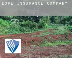 Dore  insurance company