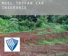 Moel-tryfan  car insurance