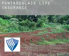 Pontardulais  life insurance