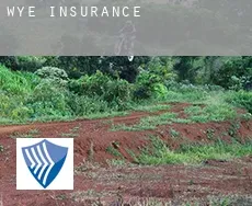 Wye  insurance