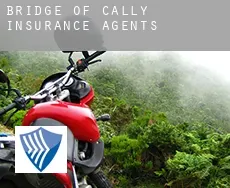 Bridge of Cally  insurance agents