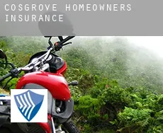 Cosgrove  homeowners insurance