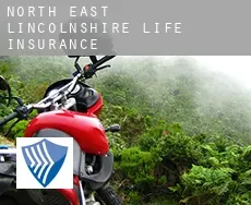 North East Lincolnshire  life insurance