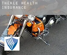 Theale  health insurance