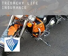 Treorchy  life insurance