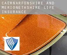 Caernarfonshire and Merionethshire  life insurance