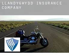 Llandygwydd  insurance company