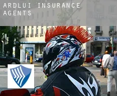 Ardlui  insurance agents