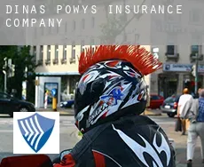 Dinas Powys  insurance company