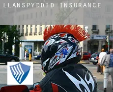 Llanspyddid  insurance