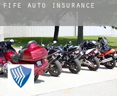 Fife  auto insurance