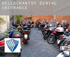 Bellochantuy  dental insurance