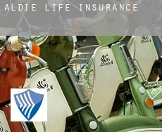 Aldie  life insurance