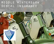 Middle Winterslow  dental insurance