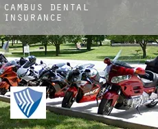 Cambus  dental insurance