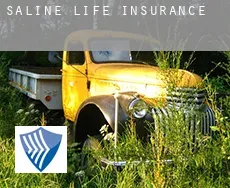 Saline  life insurance