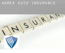 Anmer  auto insurance