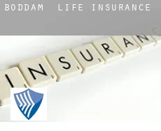 Boddam  life insurance