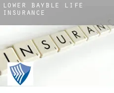 Lower Bayble  life insurance