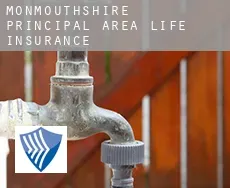 Monmouthshire principal area  life insurance