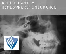 Bellochantuy  homeowners insurance